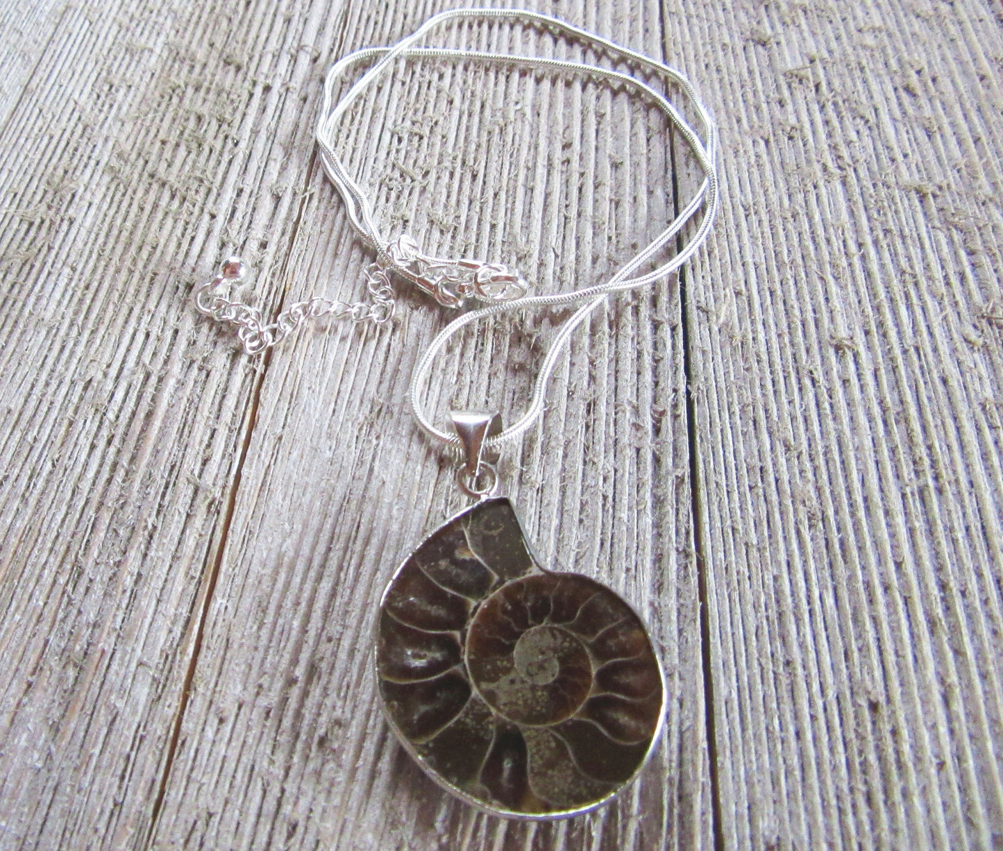 Ammonite necklace, ammonite fossil jewelry, ammolite pendant, gift for science lover