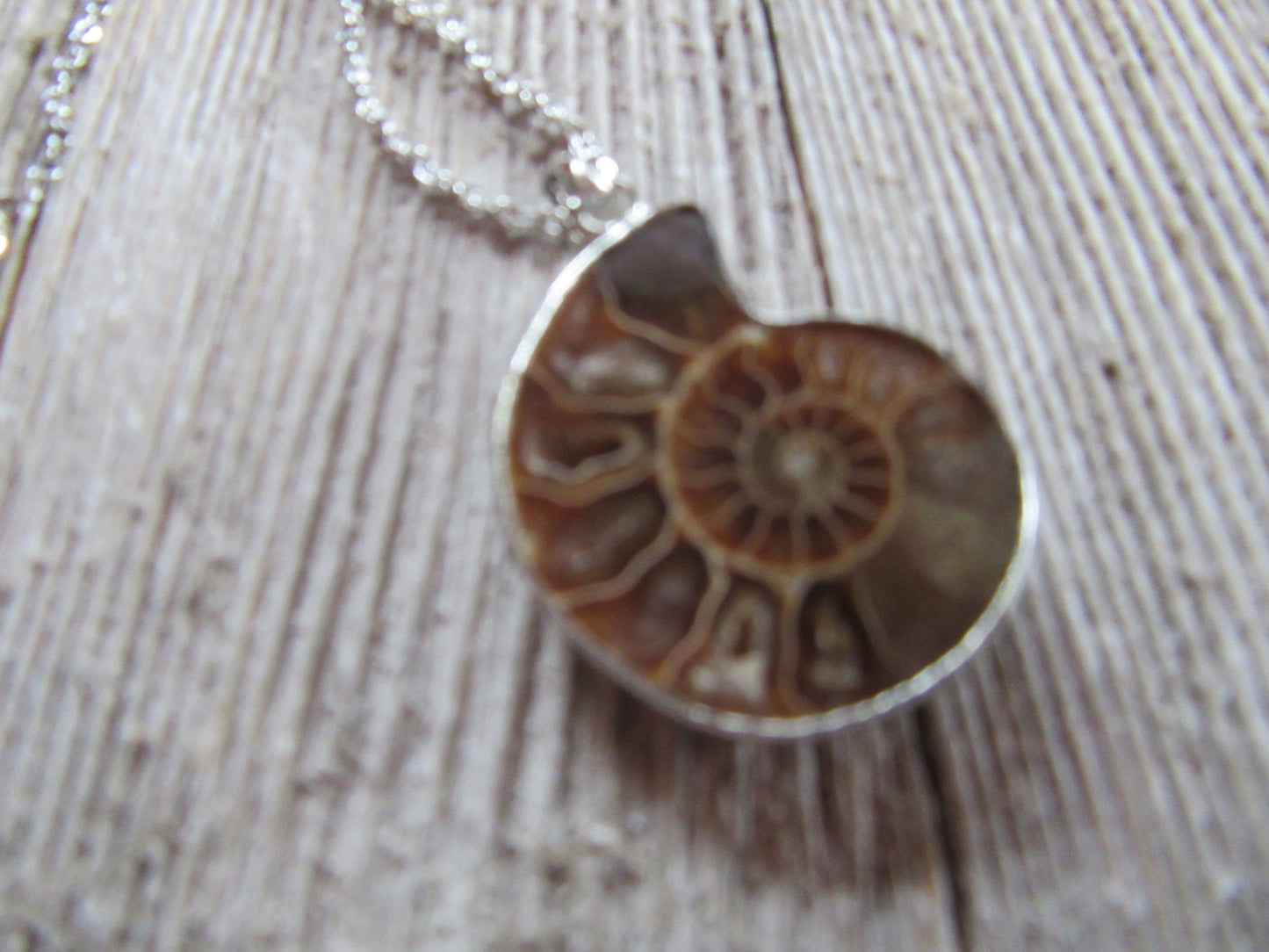 Ammonite necklace, ammonite fossil jewelry, ammolite pendant, gift for science lover