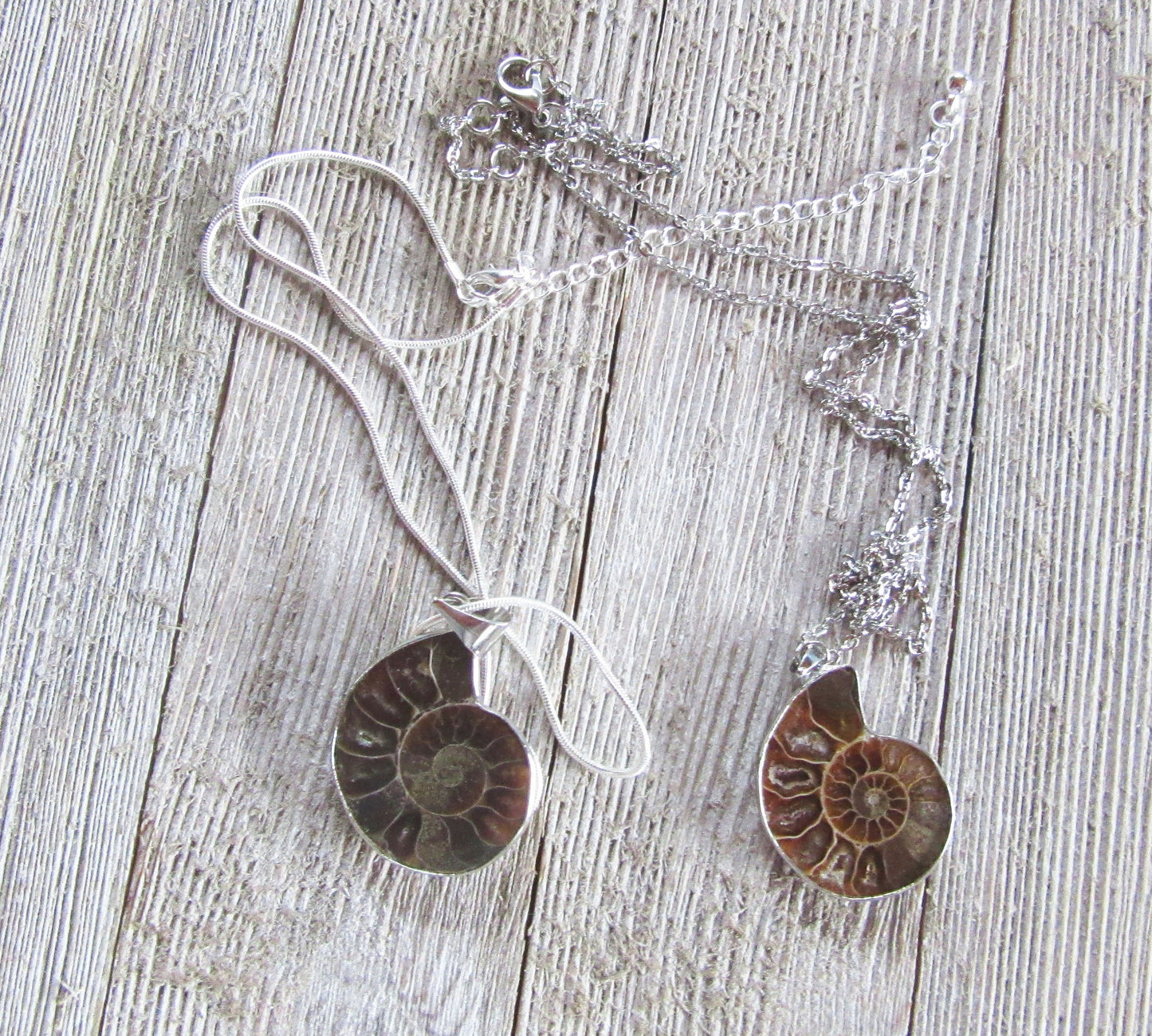 Ammonite necklace, ammonite fossil jewelry, ammolite pendant, gift for science lover, Mr and Mrs necklace sest