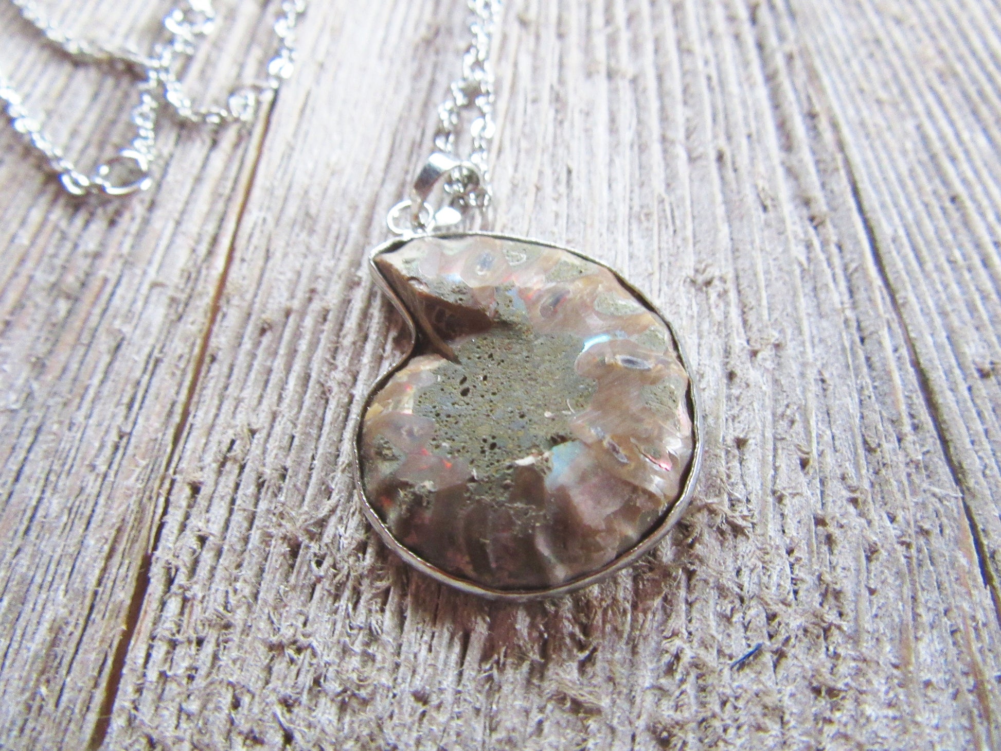 Ammonite necklace, ammonite fossil jewelry, ammolite pendant, gift for science lover