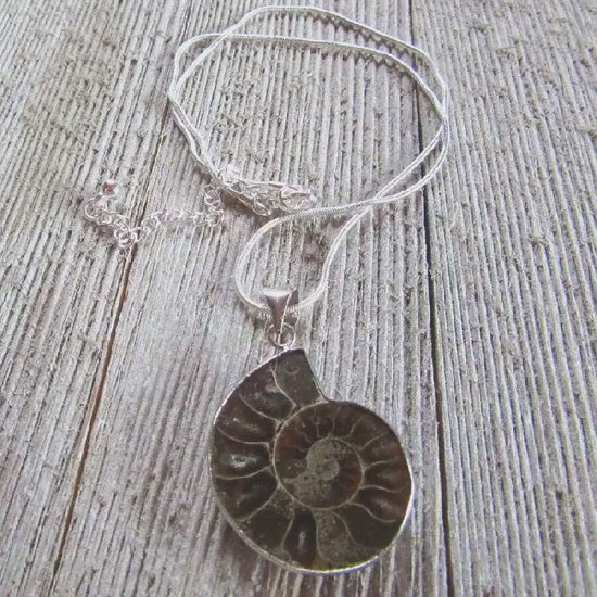 Ammonite necklace, ammonite fossil jewelry, ammolite pendant, gift for science lover